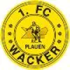 1. FC Wacker Plauen*