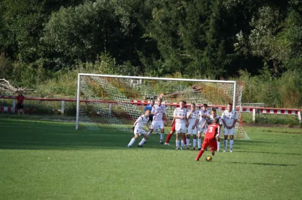 2011-09-11: VL Heimspiel geg. Werda