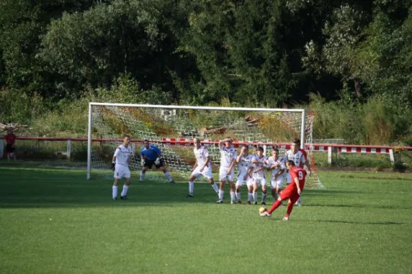 2011-09-11: VL Heimspiel geg. Werda