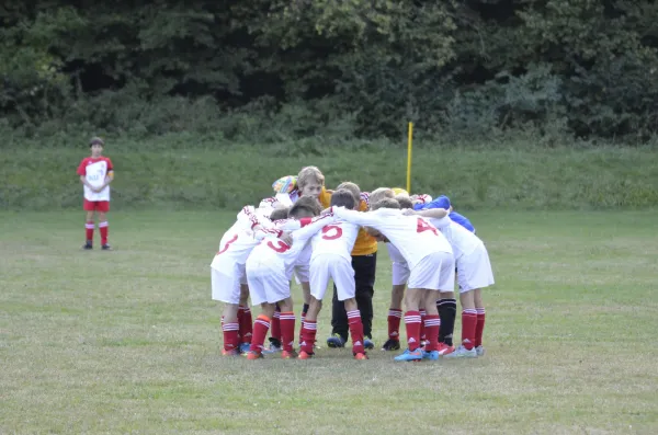 2016-09-21: E-Jugend - Pokal (U10 - U11)