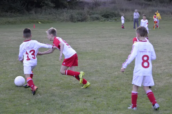 2016-09-21: E-Jugend - Pokal (U10 - U11)