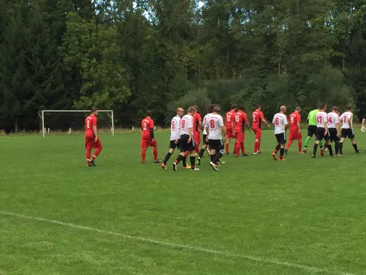 20.09.2015 VfB Lengenfeld 1908 vs. FC Werda 1921