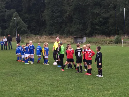 26.09.2015 VfB Lengenfeld 1908 vs. Blau-Weiß Rebesgrün