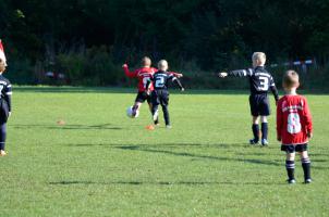 03.10.2015 VfB Lengenfeld 1908 vs. 1. FC Rodewisch II