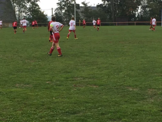 26.09.2015 TSV Nema Netzschkau vs. VfB Lengenfeld 1908