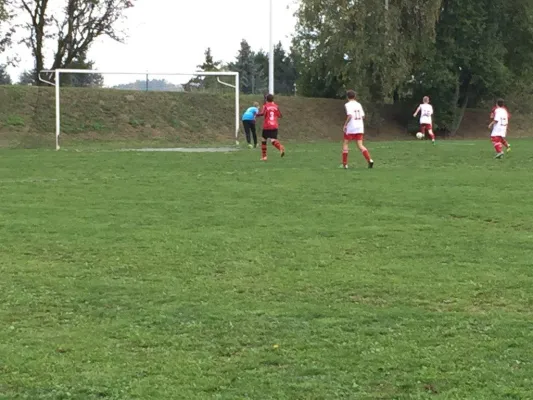 26.09.2015 TSV Nema Netzschkau vs. VfB Lengenfeld 1908