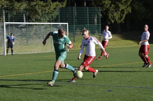 16.10.2016 Wernesgrün vs. VfB Lengenfeld 1908