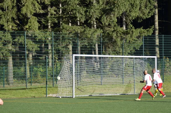 16.10.2016 Wernesgrün vs. VfB Lengenfeld 1908