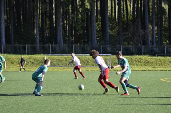 16.10.2016 Wernesgrün vs. VfB Lengenfeld 1908