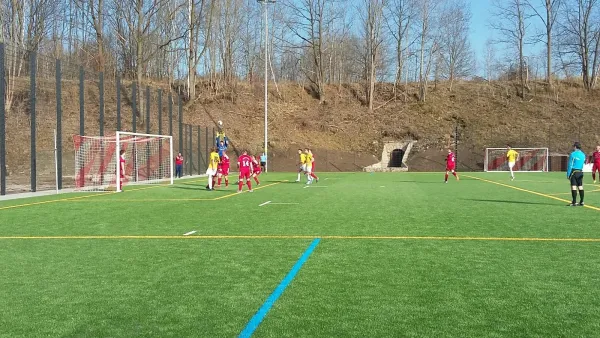 12.03.2017 VfB Lengenfeld 1908 vs. 1. FC Wacker Plauen