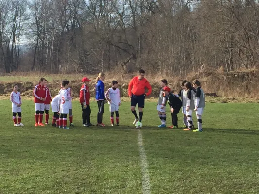 25.03.2017 1. FC Rodewisch vs. VfB Lengenfeld 1908 II