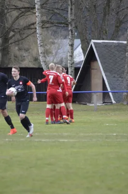 17.03.2019 FC Werda 1921 vs. VfB Lengenfeld 1908