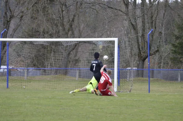 17.03.2019 FC Werda 1921 vs. VfB Lengenfeld 1908