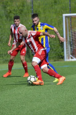 02.06.2019 VfB Lengenfeld 1908 vs. SC Syrau 1919