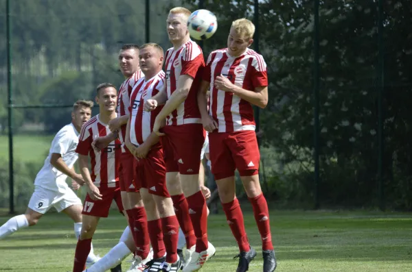 15.06.2019 SG Unterlosa vs. VfB Lengenfeld 1908