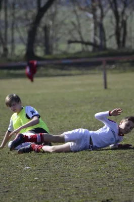 23.03.2019 Teutonia Netzschkau vs. VfB Lengenfeld 1908 II