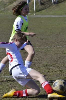 23.03.2019 Teutonia Netzschkau vs. VfB Lengenfeld 1908 II