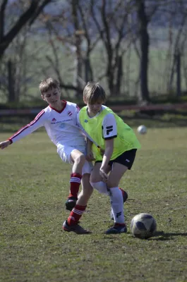 23.03.2019 Teutonia Netzschkau vs. VfB Lengenfeld 1908 II