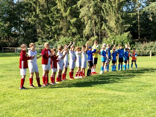 21.09.2019 SG Pfaffengrün vs. VfB Lengenfeld 1908