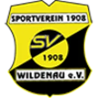 SV 08 Wildenau