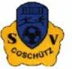 SpG SV Coschütz / FC Teutonia Netzschkau