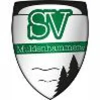 SpG Muldenhammer/Brunn