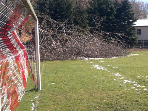 Am Samstag findet ein Arbeitseinsatz statt