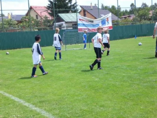 2011-06-21: E-Jugend beim Witte-Cup