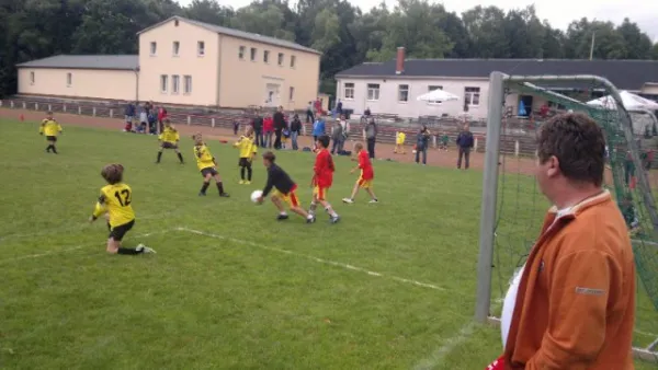 2011-07-02: Plohni Cup