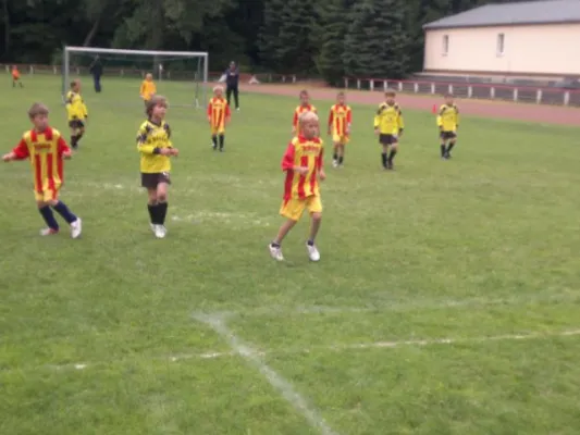 2011-07-02: Plohni Cup