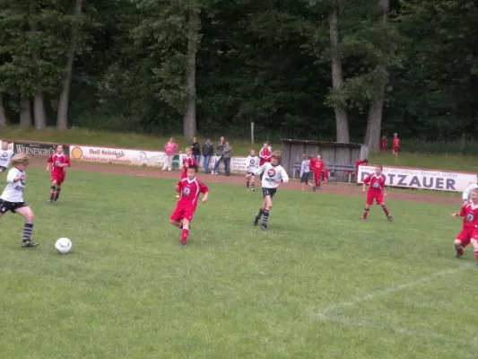 2011-07-02: Plohni Cup