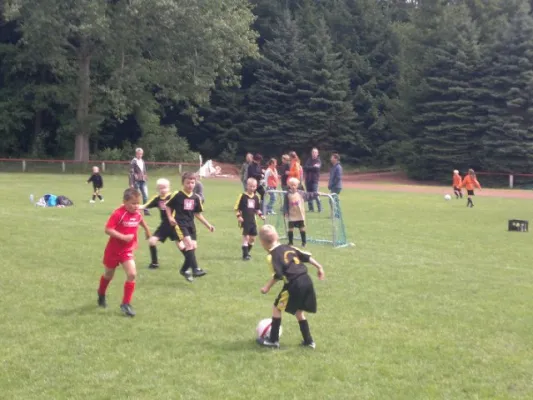 2011-07-02: Plohni Cup