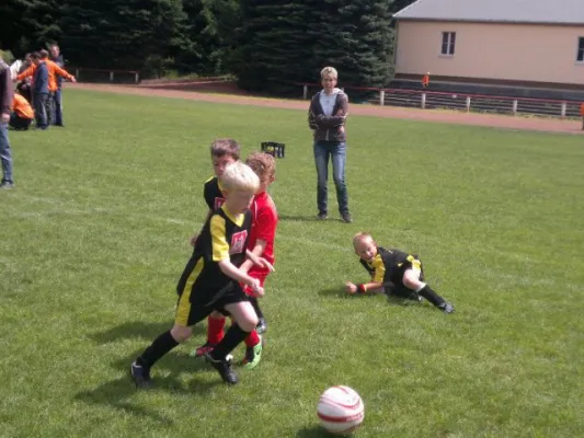 2011-07-02: Plohni Cup