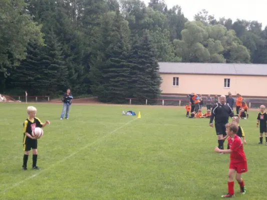 2011-07-02: Plohni Cup