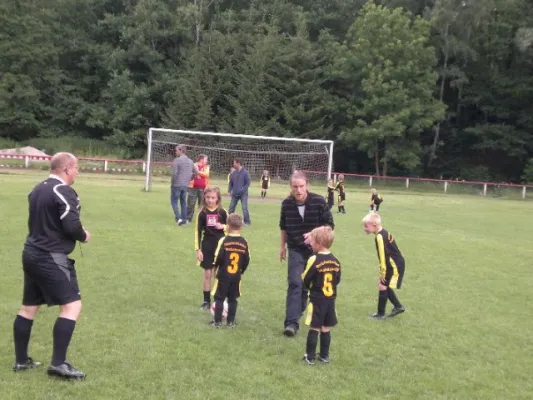 2011-07-02: Plohni Cup