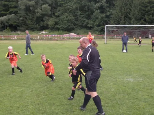 2011-07-02: Plohni Cup