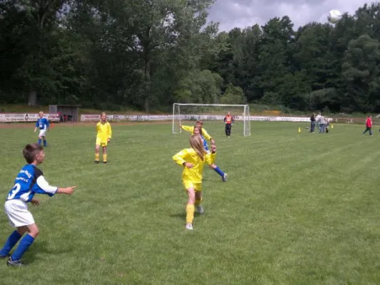 2011-07-02: Plohni Cup