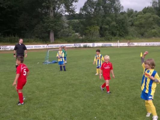 2011-07-02: Plohni Cup