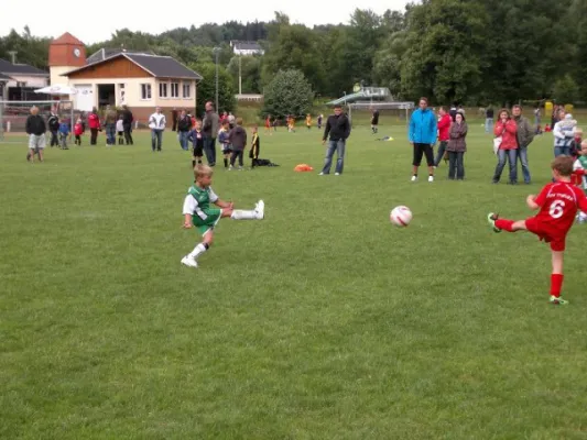 2011-07-02: Plohni Cup