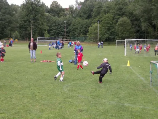 2011-07-02: Plohni Cup