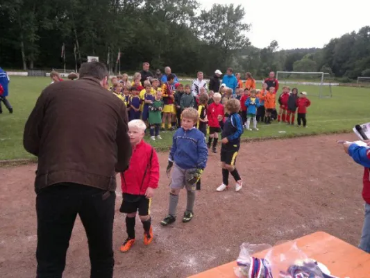 2011-07-02: Plohni Cup