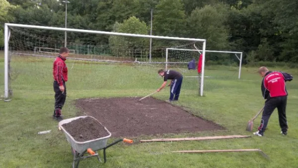 2011-06-30: Arbeitseinsatz Rasen