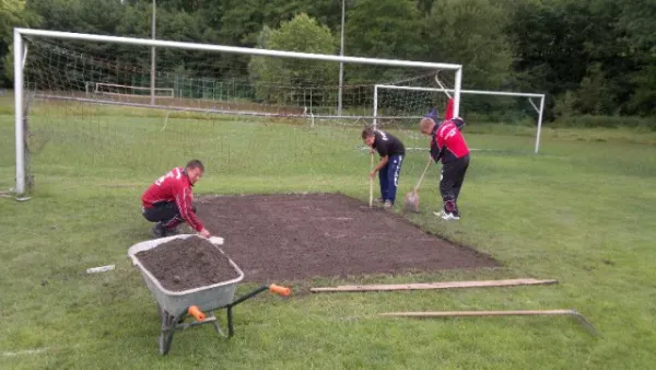 2011-06-30: Arbeitseinsatz Rasen