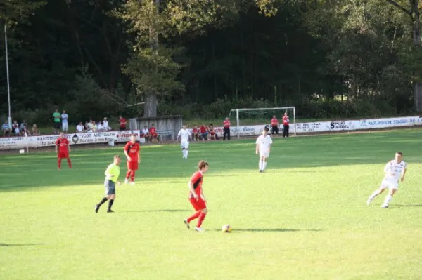 2011-09-11: VL Heimspiel geg. Werda