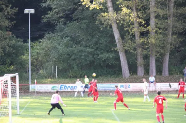 2011-09-11: VL Heimspiel geg. Werda