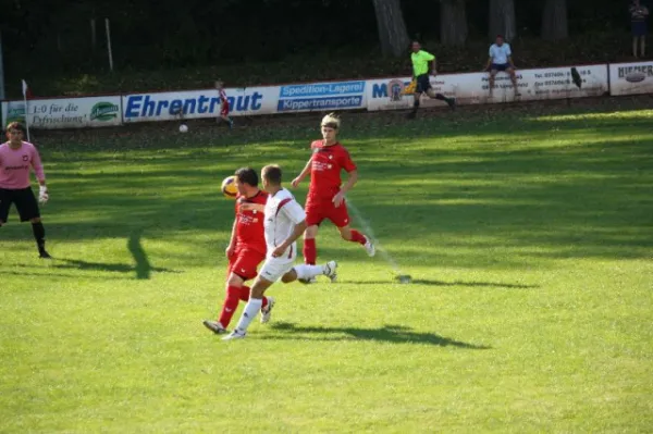 2011-09-11: VL Heimspiel geg. Werda