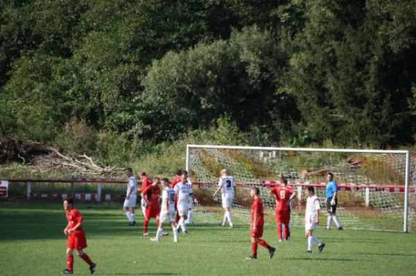 2011-09-11: VL Heimspiel geg. Werda