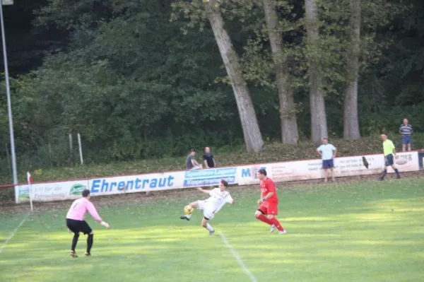 2011-09-11: VL Heimspiel geg. Werda