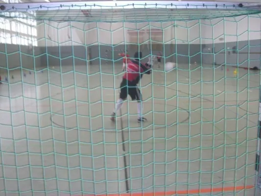 2010-02-20: Trainingslager Rabenberg