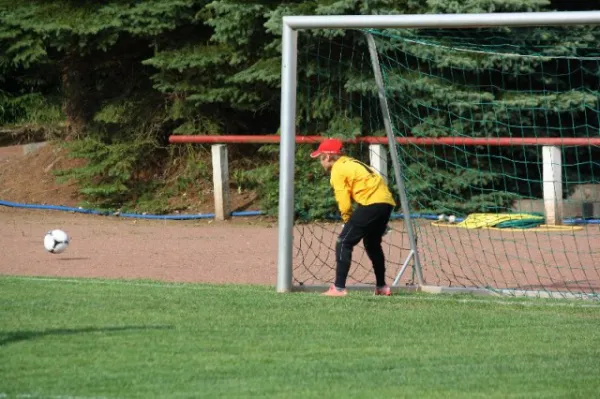 2012-06-18: E-Jug. geg. FSV Zwickau